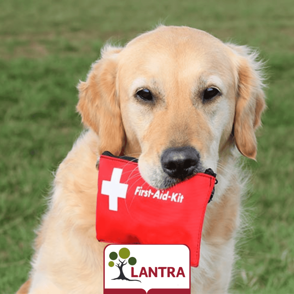 Canine Health and Welfare