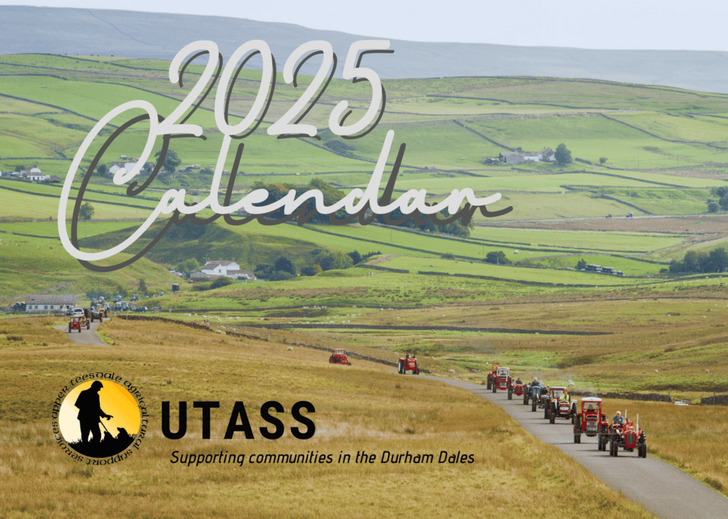 UTASS 2025 calendar Front cover