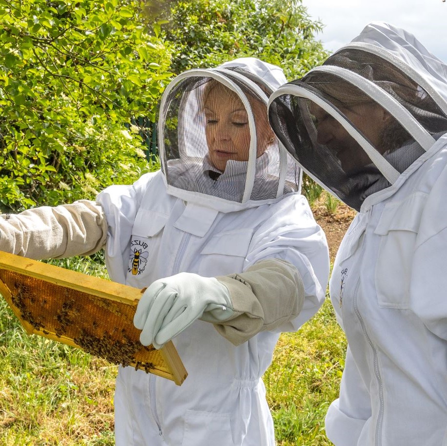 Segro-May-2019-inspect-frame.JPG