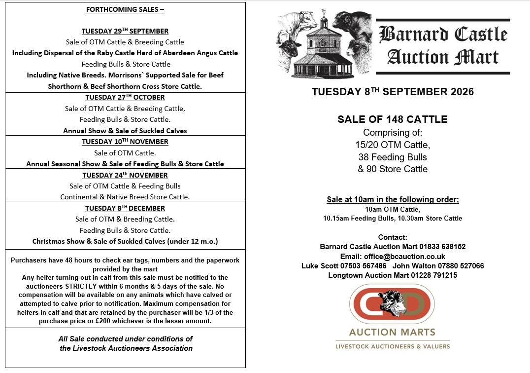 bcam cattle bcam cattle
