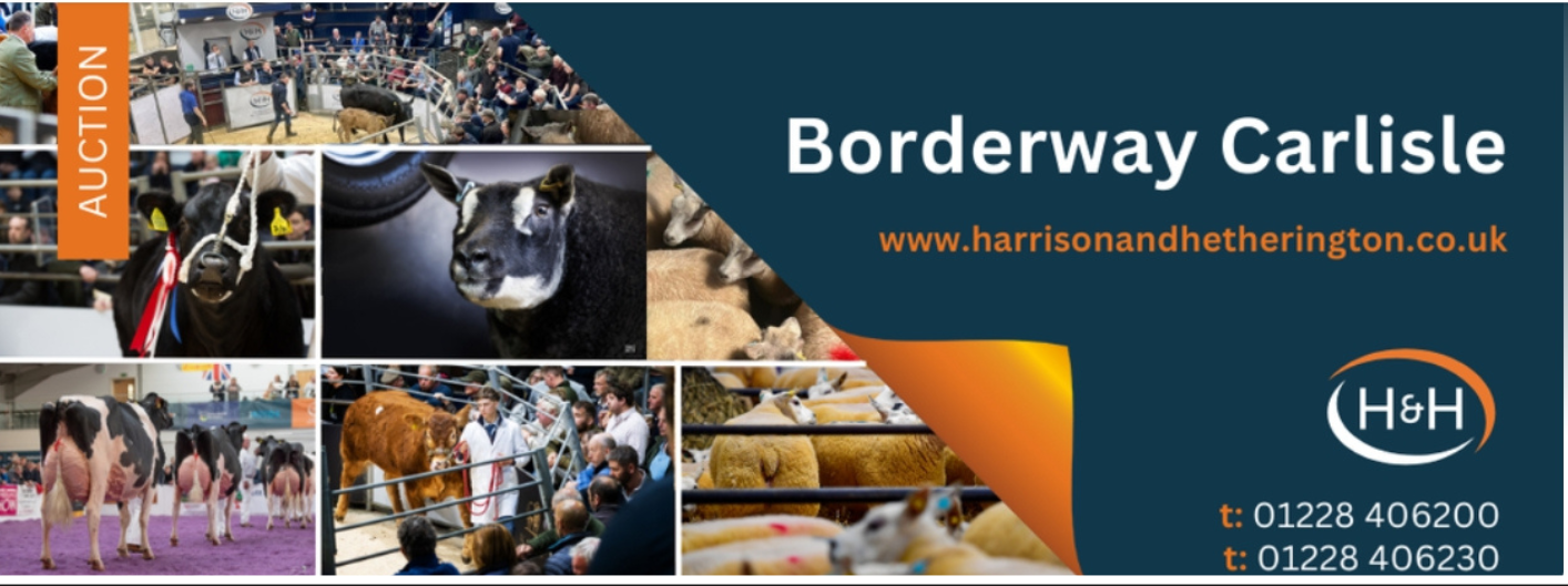 Borderway Carlisle Borderway Carlisle